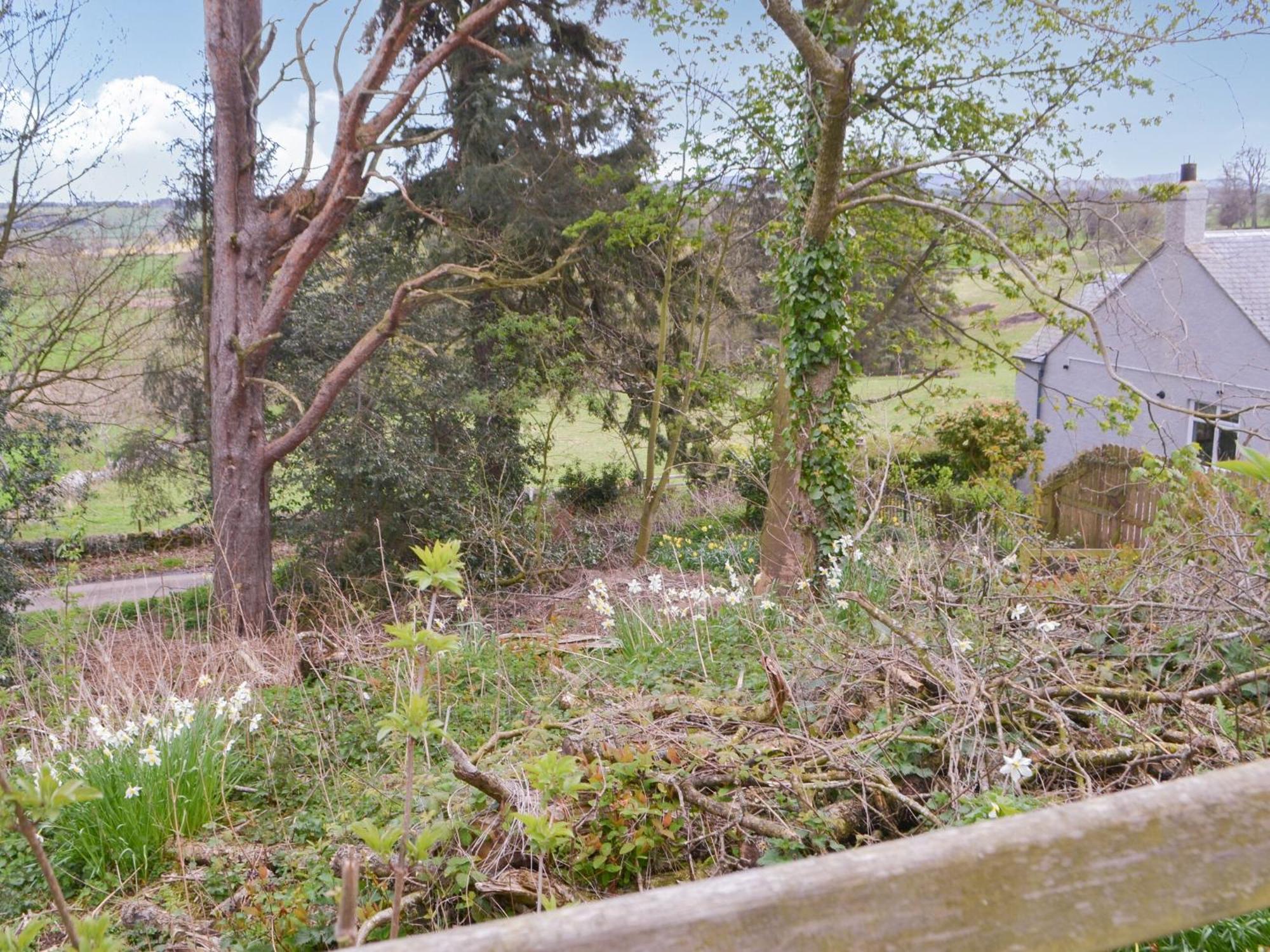 Maisies Cottage Earle Dış mekan fotoğraf